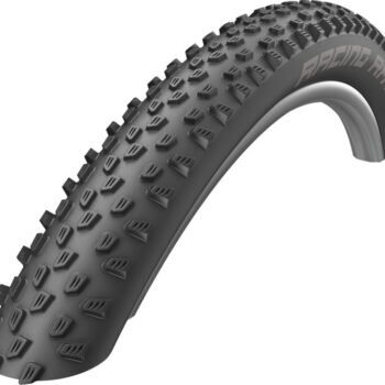 Schwalbe Buitenband 29" Racing Ray Addict Performance Line TLR 57-622