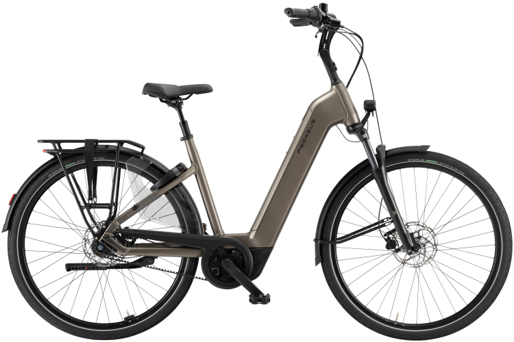 Pegasus Ravenna Evo 7F Belt Damesfiets 2026 - Afbeelding 2