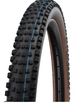 Schwalbe Buitenband 29″ Wicked Will Super Race TLE 62-622 Vouw Zwart Transparant